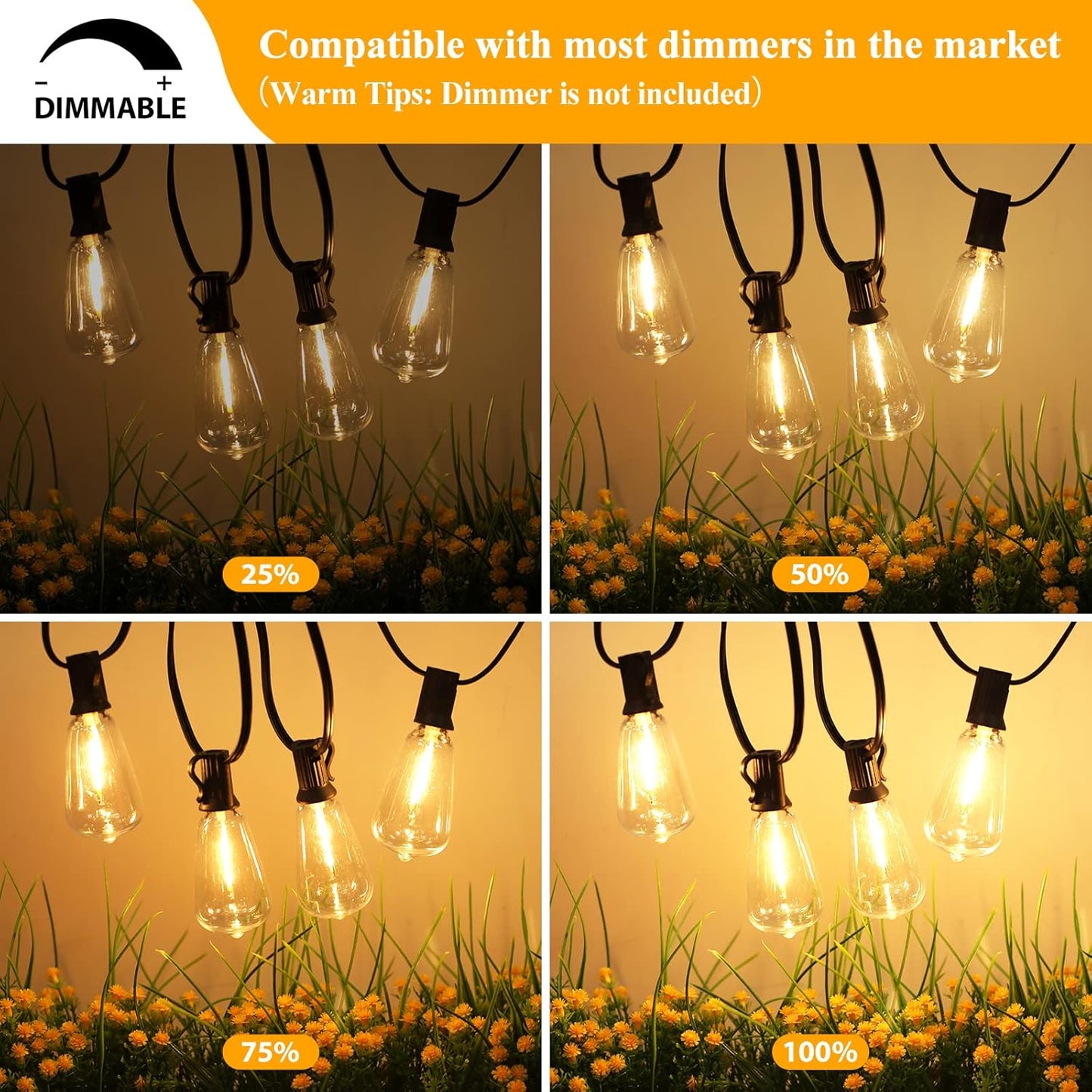 Guirlande Lumineuse LED Étanche Brightever pour Extérieur 30 m