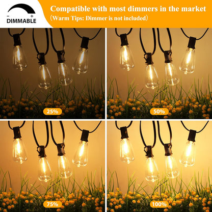 Guirlande Lumineuse LED Étanche Brightever pour Extérieur 30 m